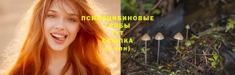 Псилоцибиновые грибы Magic Shrooms Россошь